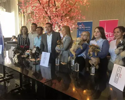 Invitan a participar en la 2da “Canrrera” con beneficio a Fundaciones Animalistas