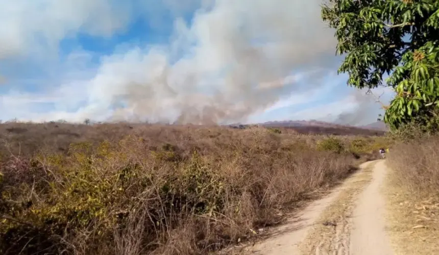 Protección Civil Sinaloa llama a tomar medidas para evitar incendios forestales.