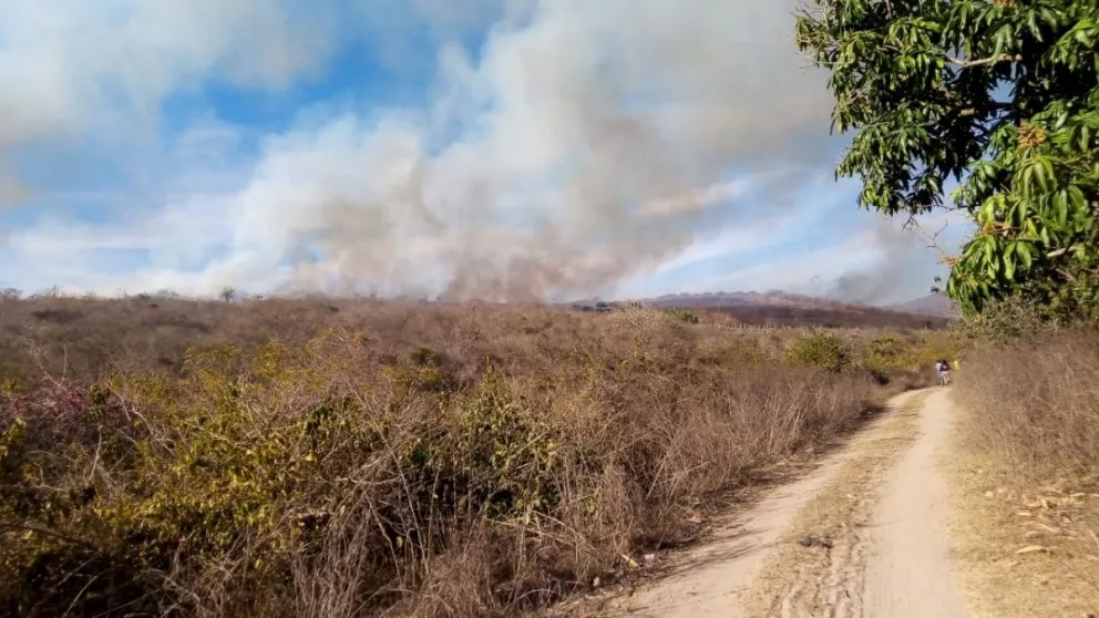 Protección Civil Sinaloa llama a tomar medidas para evitar incendios forestales.