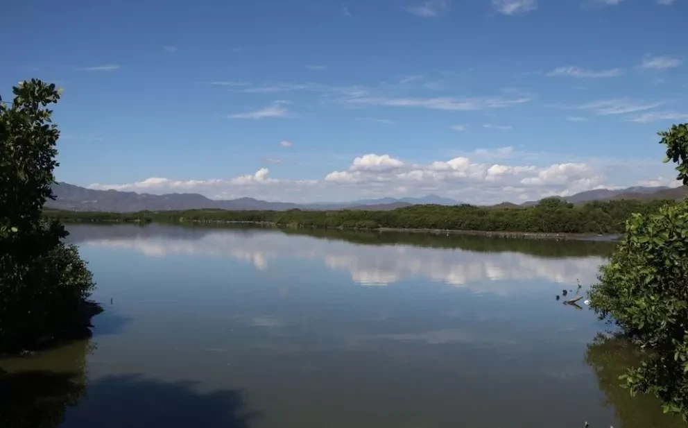 Gobierno de Colima y Pronatura Noroeste firman convenio de colaboración para conservación de la naturaleza