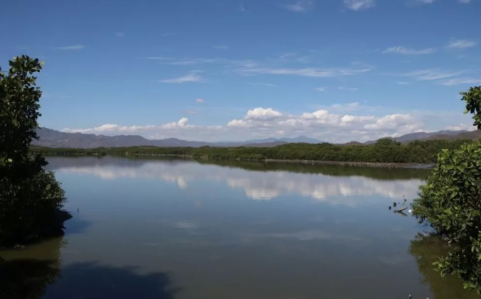 Gobierno de Colima y Pronatura Noroeste firman convenio de colaboración para conservación de la naturaleza 
