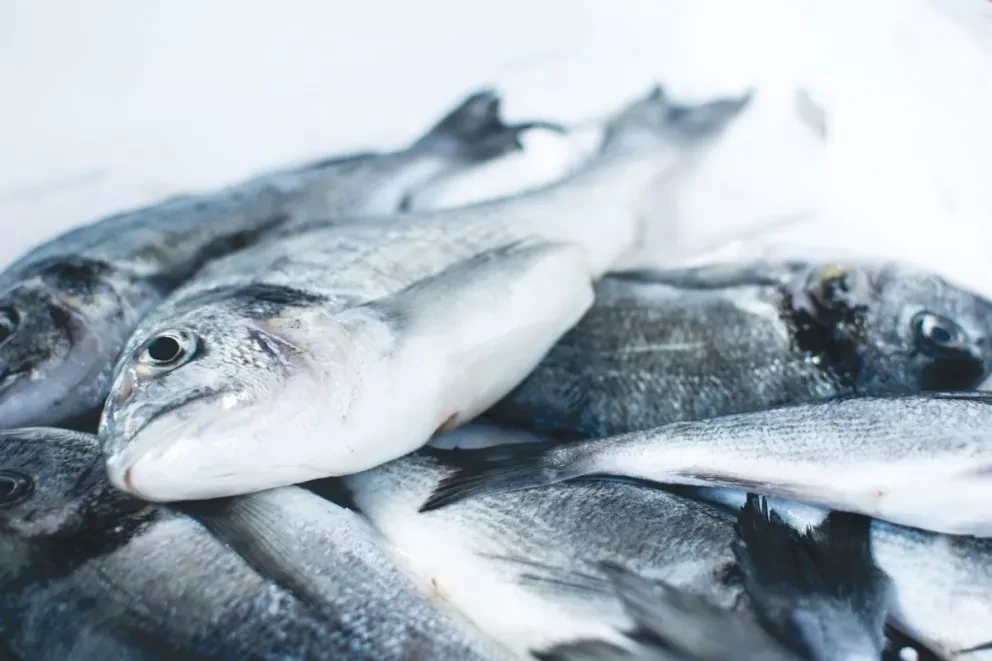 Tipos de pescado para consumir durante esta cuaresma.