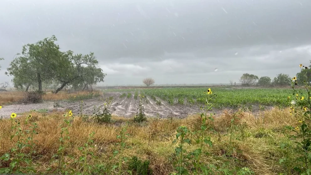 Bombardean las nubes en Tamaulipas para que llueva