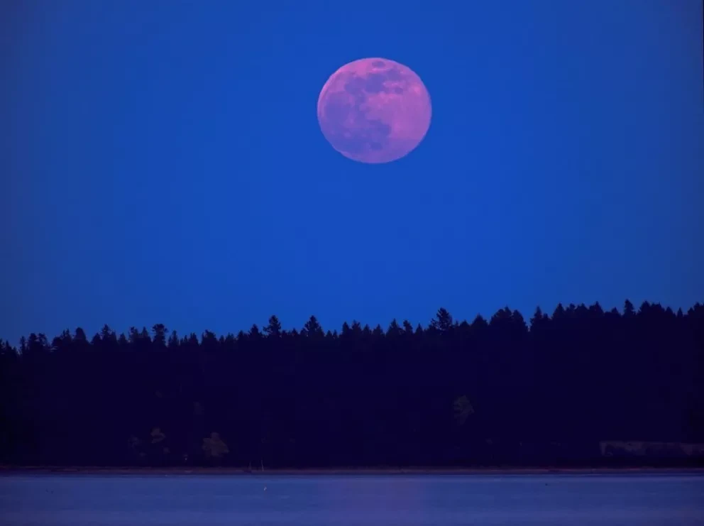 Foto: Shutterstock