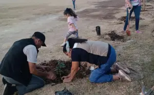 Plantan vida en el campo deportivo de la colonia Buenos Aires en Culiacán