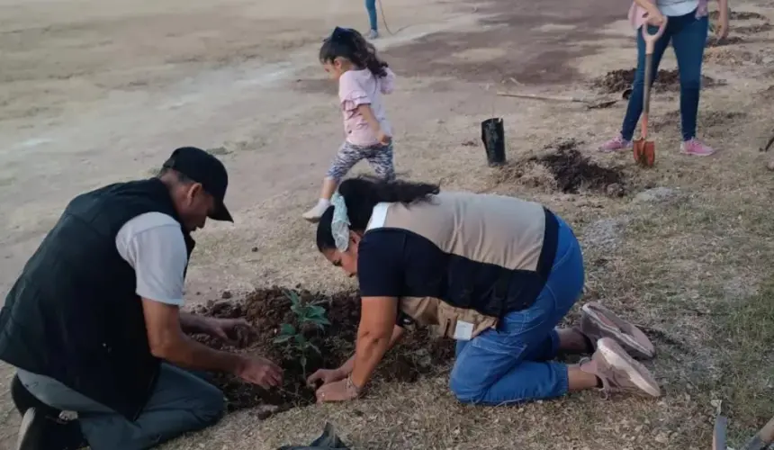 Los árboles producen oxígeno, purifican el aire, sirven como refugios para la fauna, forman suelos fértiles, reducen la temperatura del suelo, mejoran el paisaje y más.