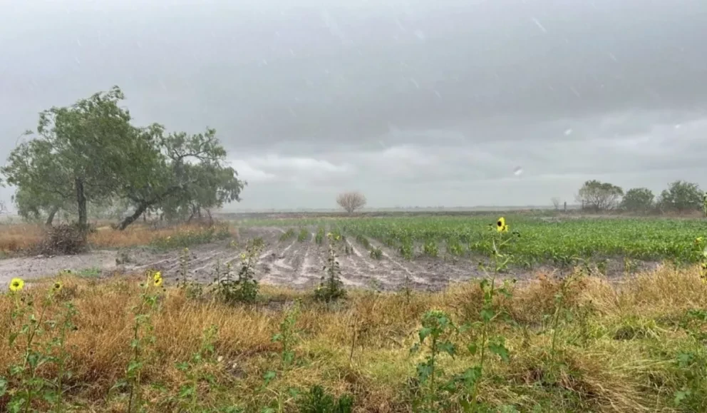 Vuelos de bombardeo de nubes en Tamaulipas generan tres días de lluvias