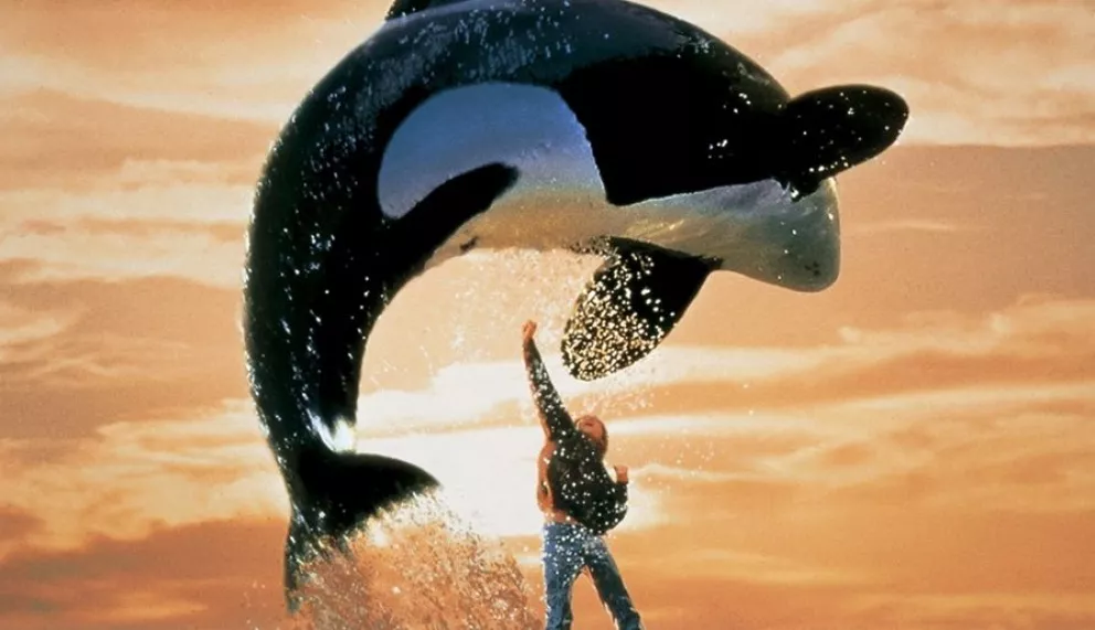 Qué pasó con Keiko, la orca que protagonizó la película Liberen a Willy