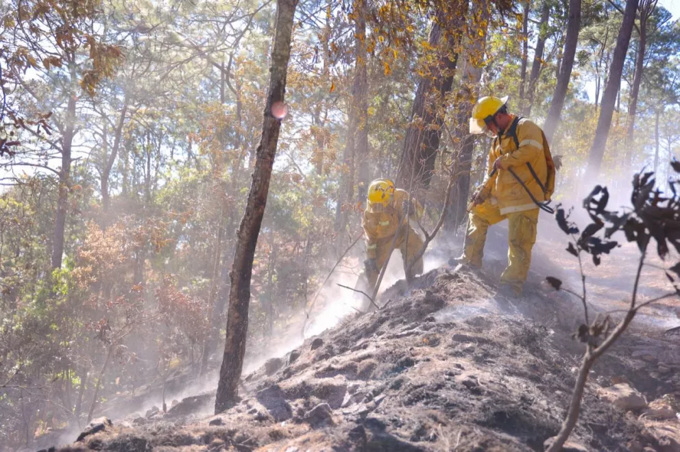 Todos los incendios forestales de Sinaloa se pudieron prevenir, solo con tener más cuidado en la quema de todo lo que está alrededor de pastizales y bosques que, por la temporada, están más secos y es más fácil que se prendan.