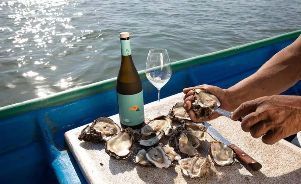 ¿No sabes a dónde ir este fin? Visita Shells & Sake, el primer festival de ostiones y sake en México