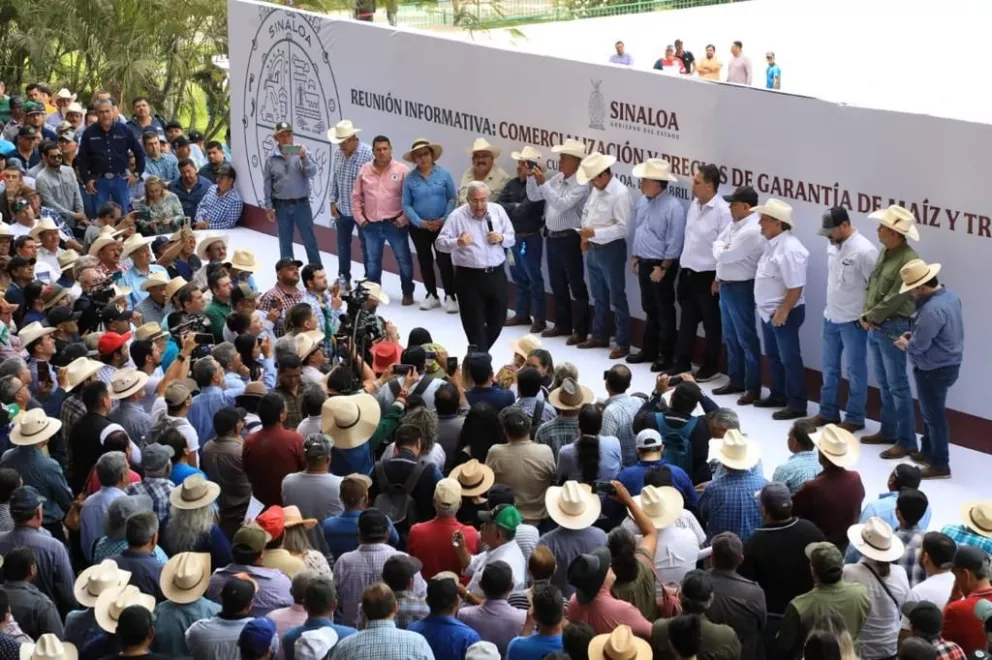 Comprará Segalmex hasta 2 millones de toneladas de maíz a productores agrícolas de Sinaloa.