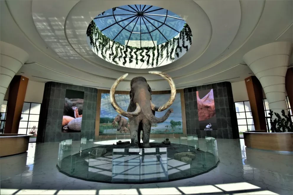 Buscan nombre para el mamut del Museo Paleontológico de Santa Lucía, Quinametzin