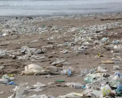 Deterioro ambiental y rehabilitación de ecosistemas