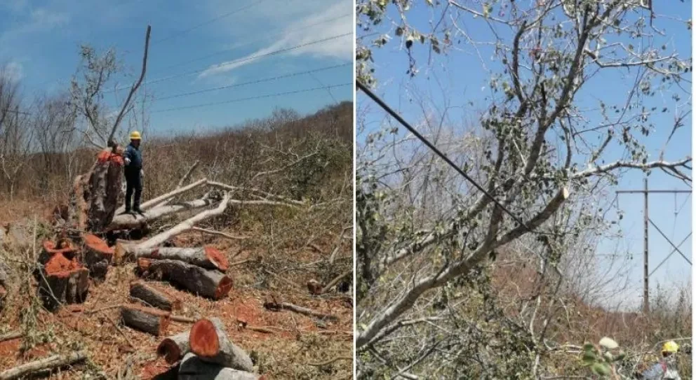 CFE. Ya hay energía eléctrica en El Rosario y Escuinapa Sinaloa.