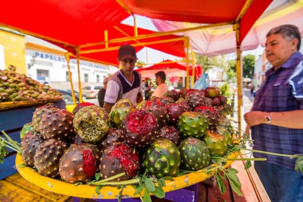 Feria de la Pitaya en Guadalajara, Jalisco.