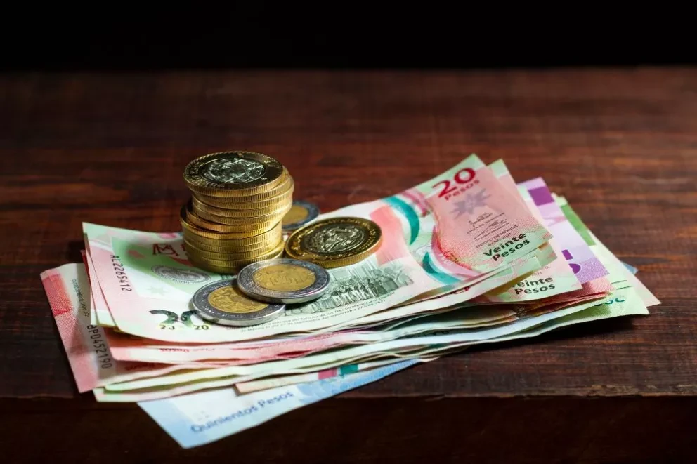 Todo lo que debes saber sobre el tema de pago de utilidades. Foto: Freepick