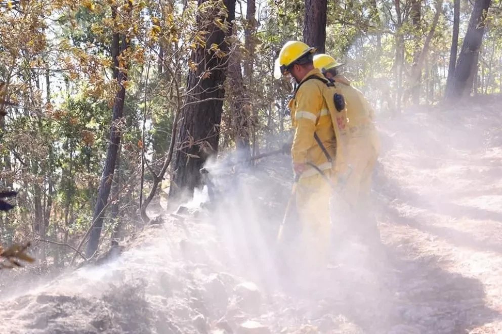 En Sinaloa llaman a evitar incendios forestales.