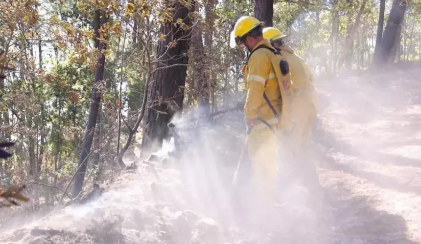 En Sinaloa llaman a evitar incendios forestales.