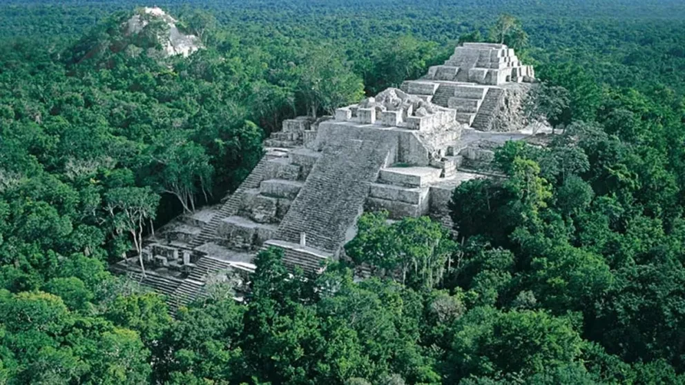 La región Calakmul será la zona de reserva más grande de América después del Amazonas