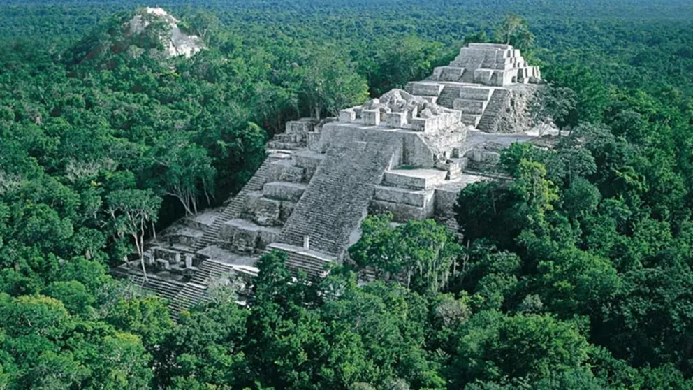 La región Calakmul será la zona de reserva más grande de América después del Amazonas