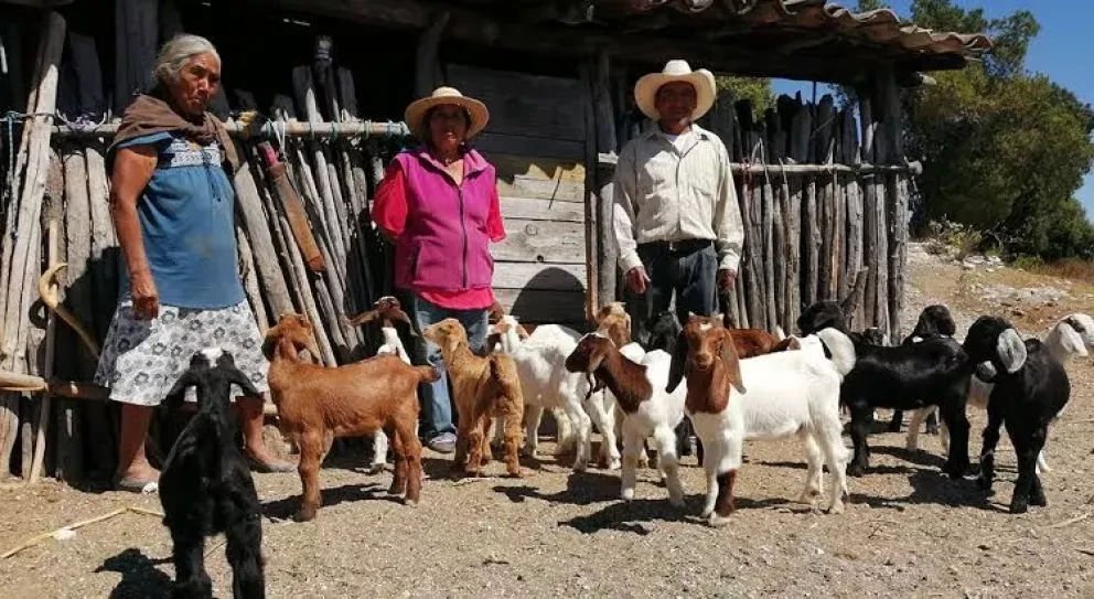 Apoyo para las mujeres de las zonas rurales de Escuinapa. Foto: Cortesía