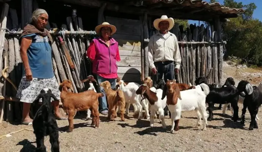 Apoyo para las mujeres de las zonas rurales de Escuinapa. Foto: Cortesía