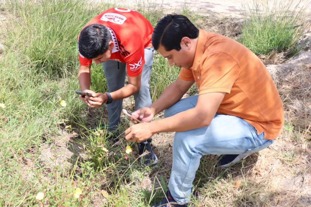 Este año Sinaloa encabeza los resultados de la página plataforma Naturalista, tanto a nivel mundial como nacional.