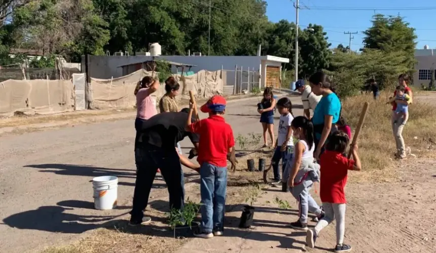 Da buenos resultados la plantación de 2 mil árboles en Villa Juárez