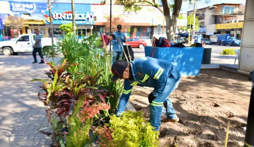  Trabajos de rehabilitación en la plazuela Pedro Infante de Guamúchil. Foto: Cortesía