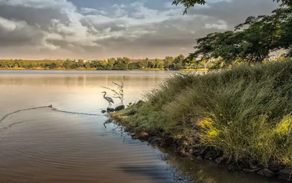 Dique La Primavera, Sinaloa 360