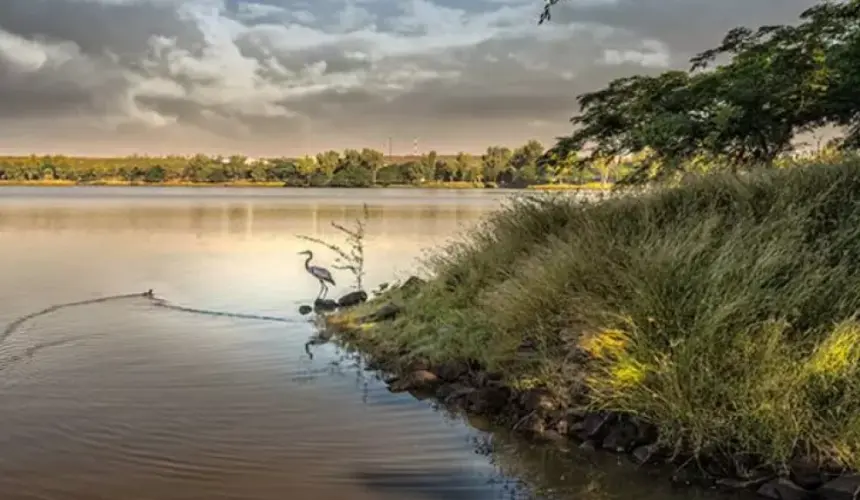 Dique La Primavera, Sinaloa 360