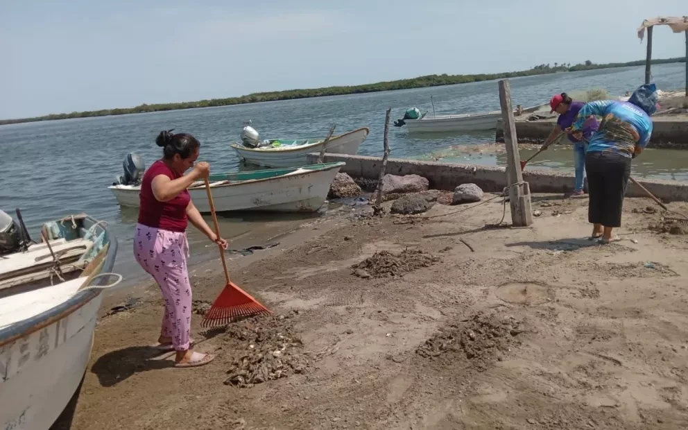 Ayuntamiento de Navolato realiza limpieza de playa de Yameto tras muerte de peces