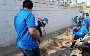 Arborizan la primaria de la Renato Vega Amador en Culiacán