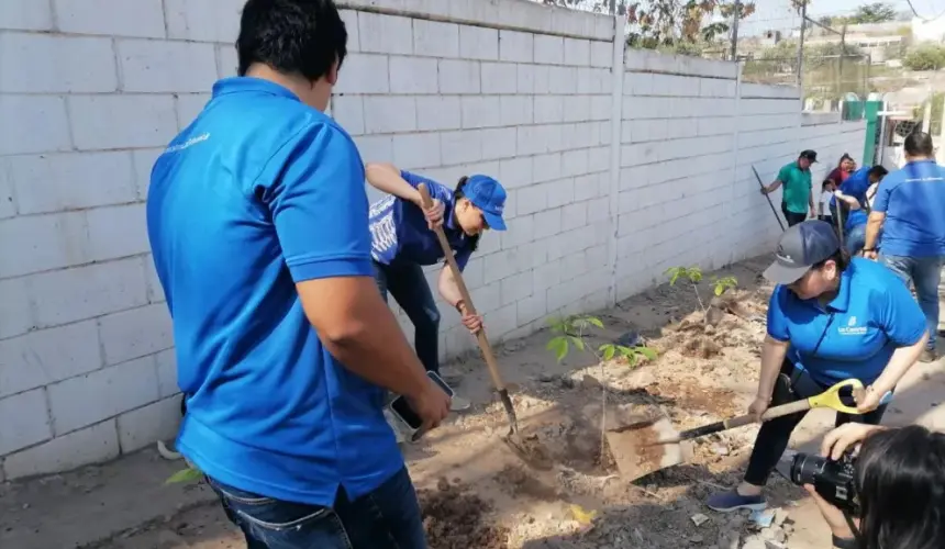 Arborizan la primaria de la Renato Vega Amador en Culiacán