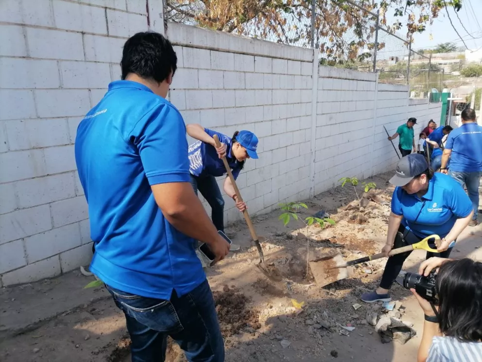 Arborizan la primaria de la Renato Vega Amador en Culiacán