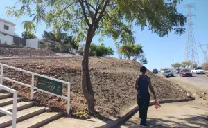 Embellecen talud de la avenida Obregón en la colonia Francisco I. Madero en Culiacán