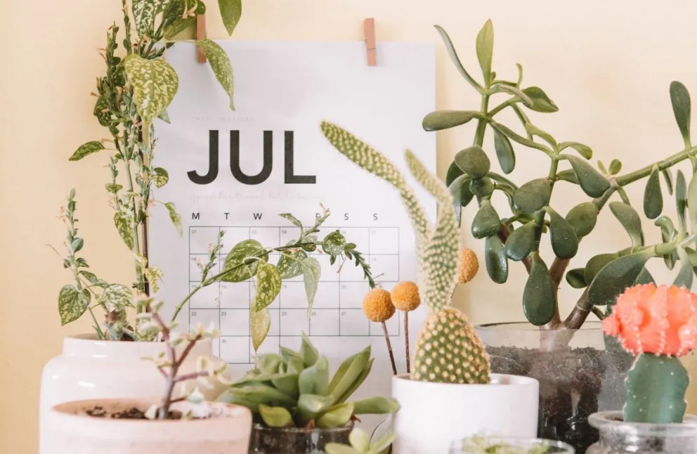 Frases para dar la bienvenida al mes de julio. Foto: Maddi Bazzocco