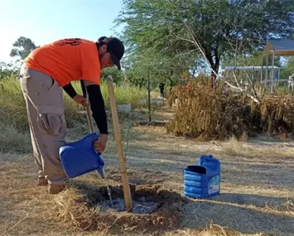 Conoce más sobre el programa de reforestación en Sonora