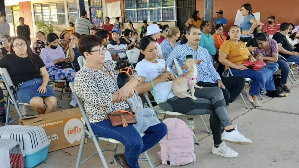 Segunda jornada de esterilización gratuita de mascotas en Guamúchil. Foto: Cortesía