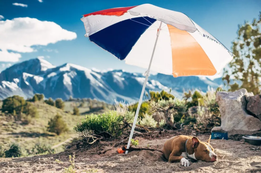 Clima en México hoy 10 de julio. SMN hará un calorón en Sinaloa, pero también caerá un aguacero. Foto: Robson Hatsukami Morgan 