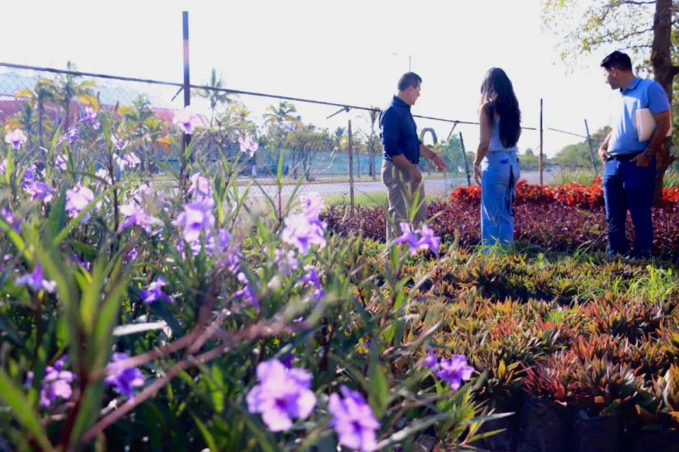 El Vivero Municipal de Mazatlán. Foto: Cortesía