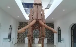 Conoce los restos de los mamuts de Zanbatha en Lerma, Estado de México