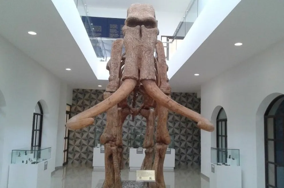 Conoce los restos de los mamuts de Zanbatha en Lerma, Estado de México