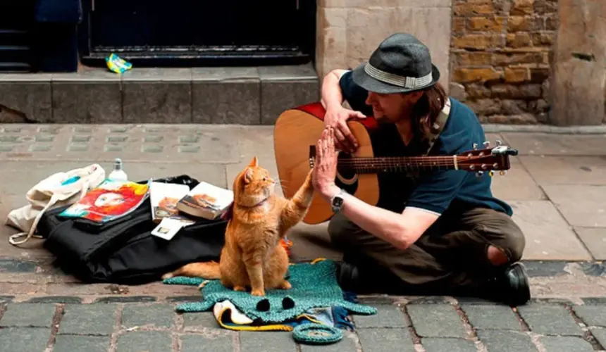 De qué trata la película un gato callejero llamado Bob. Foto: Cortesía