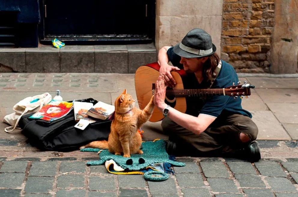 De qué trata la película un gato callejero llamado Bob. Foto: Cortesía