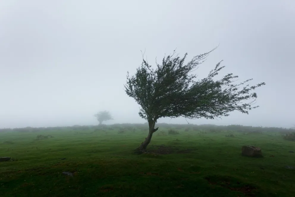 En 2023, el Monzón mexicano inició con lluvias muy fuertes en zonas de Chihuahua, Durango, Sinaloa y Sonora. Foto: Khamkéo Vilaysing