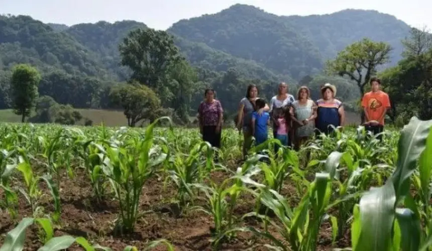 Sonora florece: programas agrícolas promueven la sustentabilidad y el desarrollo rural