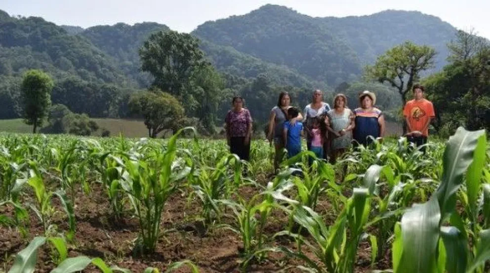 Sonora florece: programas agrícolas promueven la sustentabilidad y el desarrollo rural