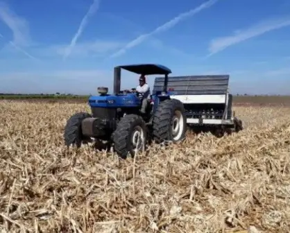 Sonora destaca en la producción agrícola sustentable