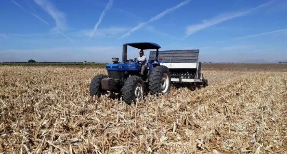 Sonora destaca en la producción agrícola sustentable